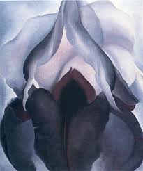 Black Iris